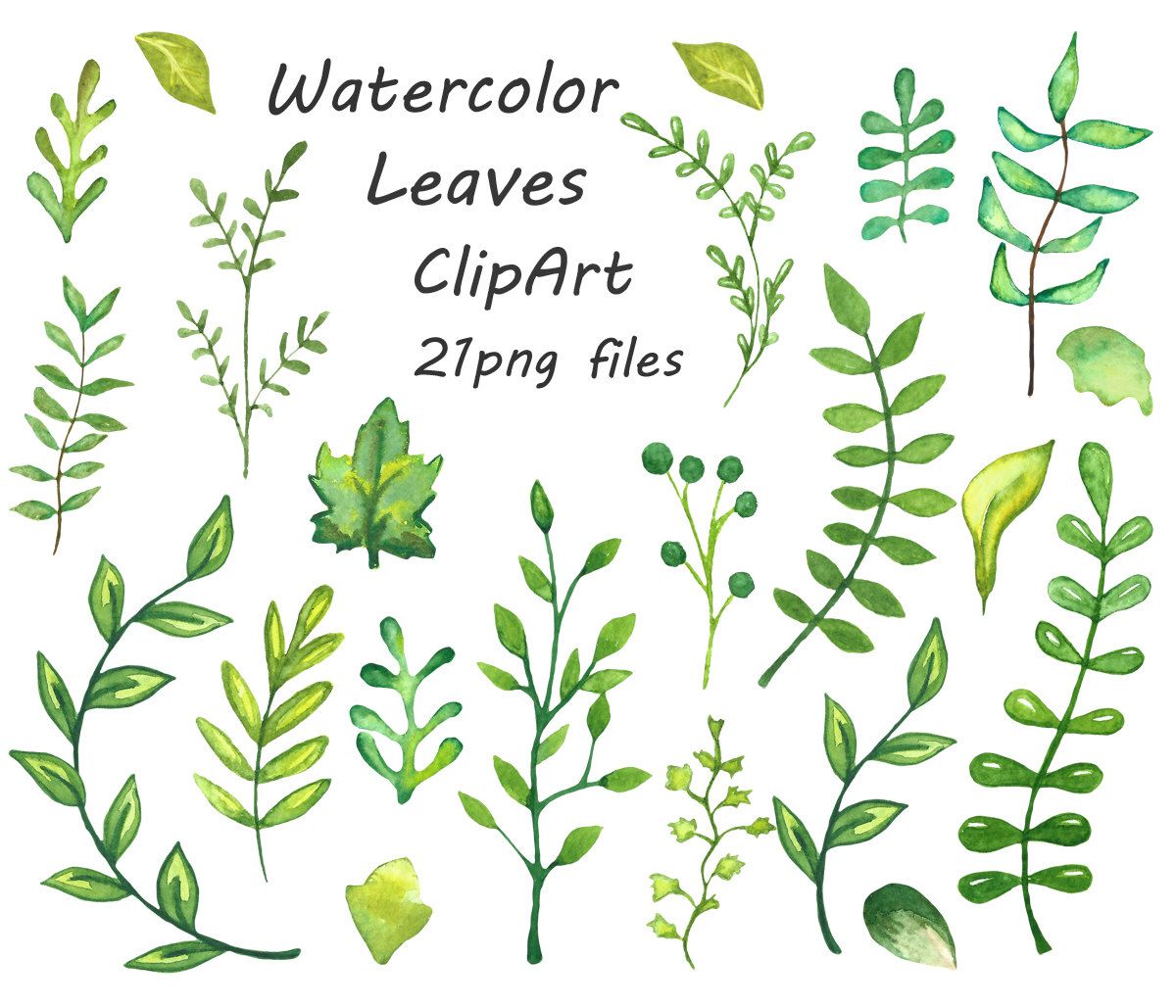 1200x1029 Watercolor Leaves Clipart, Watercolour Clip Art, Hand Painted