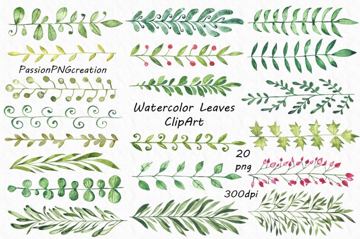 720x479 Watercolor Leaves Clipart By Passionpngcreation