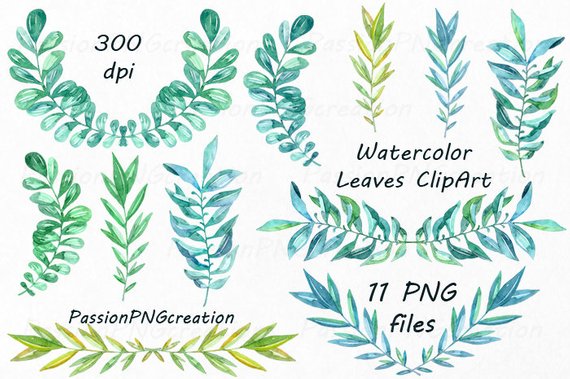 570x379 Watercolor Leaves Clipart Watercolour Clip Art Hand Painted Etsy