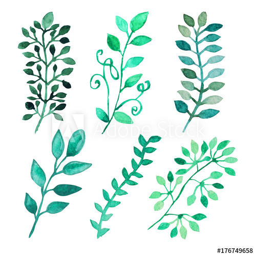500x500 Watercolor Leaves Clipart