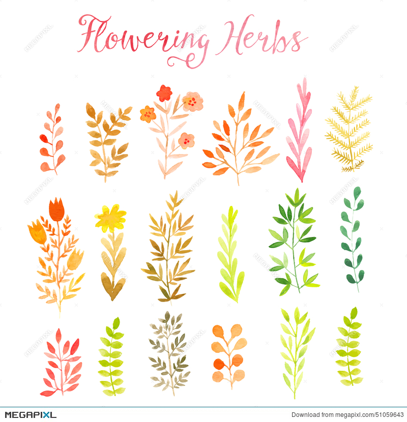 800x830 Set Of Colorful Autumn Leaves. Vector Illustration.vector Set Of