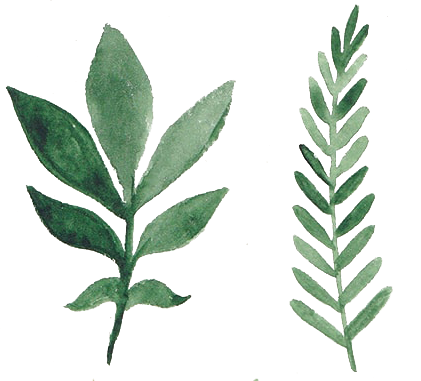 421x381 Vector Watercolor Aquarelle Flowers And Leaves Png Download