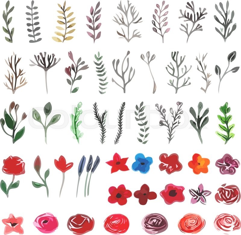 800x779 Vector Floral Set. Colorful Floral Collection With Leaves And