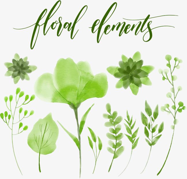 650x621 Vector Hand Painted Watercolor Leaves Leaves Png Images