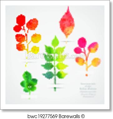 362x382 Art Print Of Vector Herbarium. Vintage Template. Watercolor Leaf