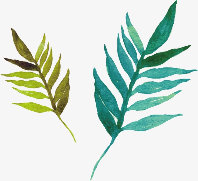 650x594 Watercolor Leaves Vector, Hand Painted, Green Leaves, Leaves Png