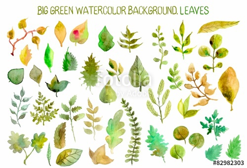 500x340 Watercolor Leaves Collection Stock Image And Royalty Free Vector