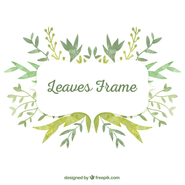 626x626 Watercolor Leaves Frame Vector Free Download
