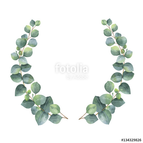 500x500 Watercolor Vector Wreath With Silver Dollar Eucalyptus Leaves And
