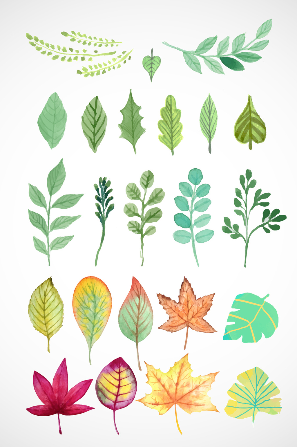 1024x1540 Fresh Watercolor Leaves Vector Material Free Download Pikbest