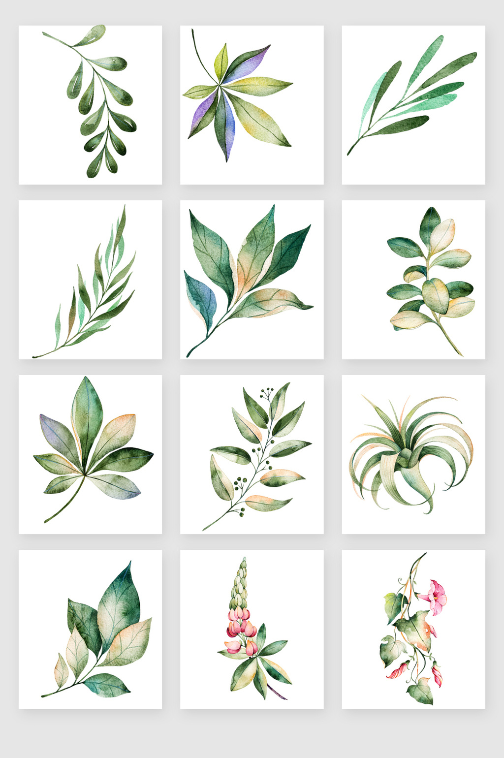 1024x1540 Hand Painted Watercolor Leaves Vector Material Free Download Pikbest