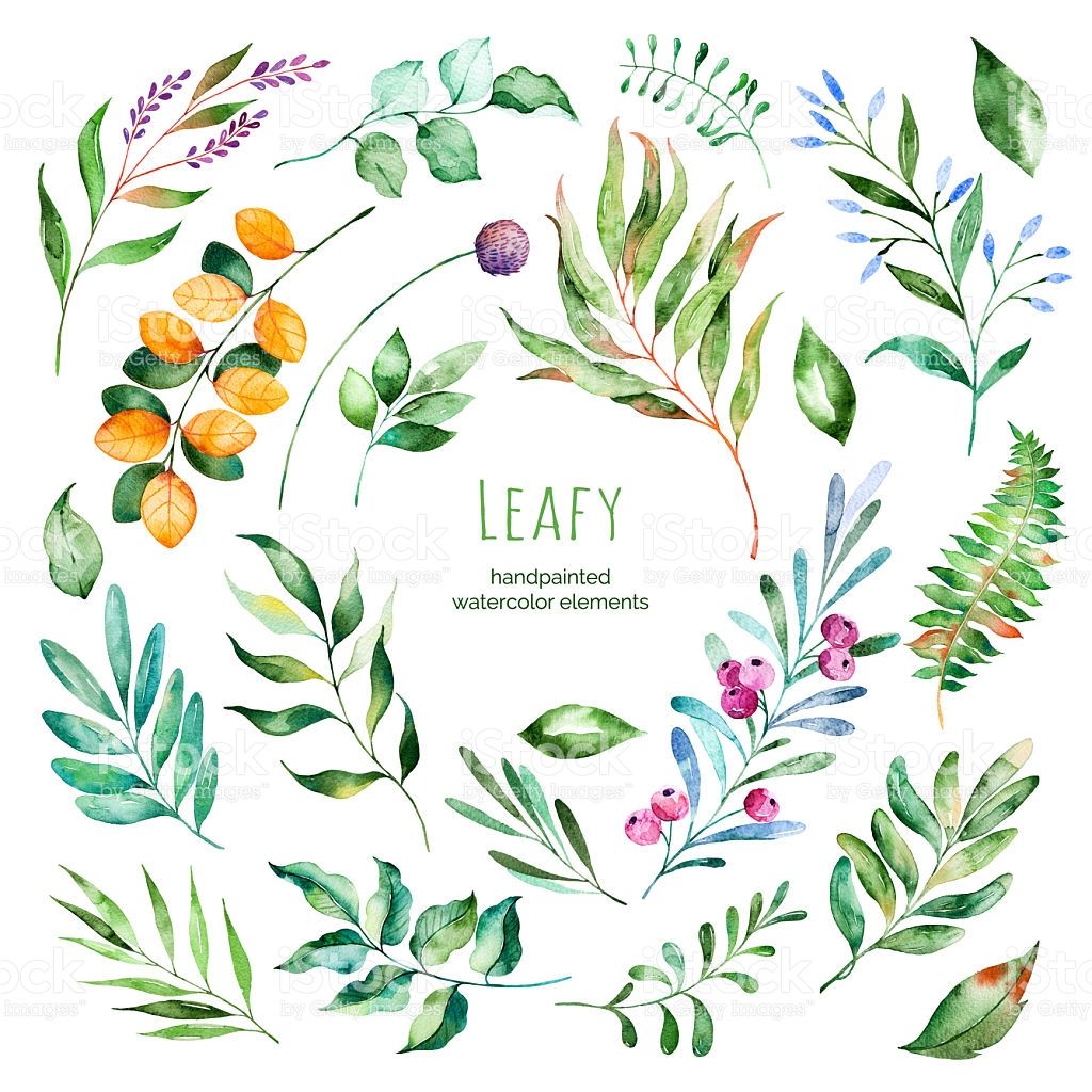 1024x1024 Leafy Collection.22 Handpainted Watercolor Floral Elements