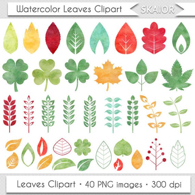 642x642 Leaves Clipart Watercolor Leaves Clip Art Autumn Leaves Etsy
