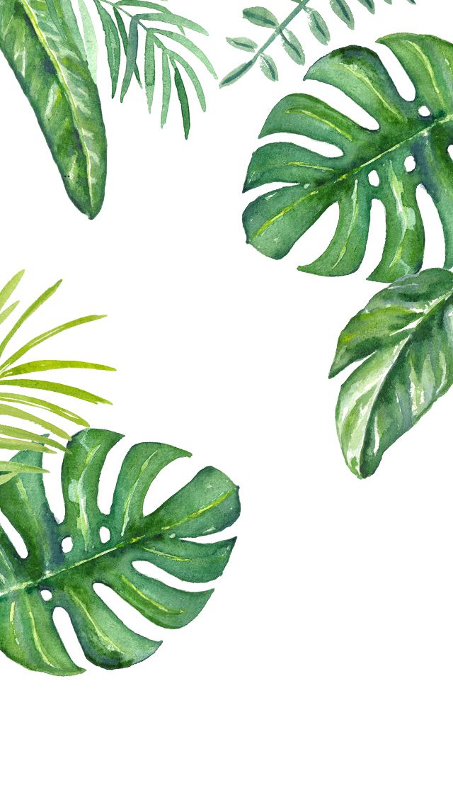 640x1136 Plants Watercolour Iphone Wallpaper Backgrounds