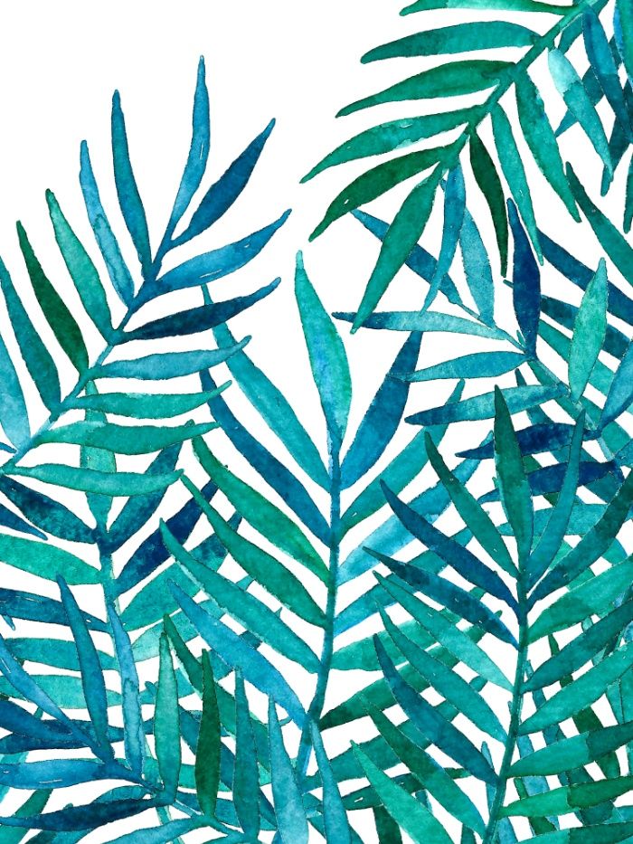700x933 Watercolor Palm Leaves On White Art Print Prints