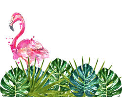 250x200 Watercolor Flamingo In Monstera Leaves Wallpaper