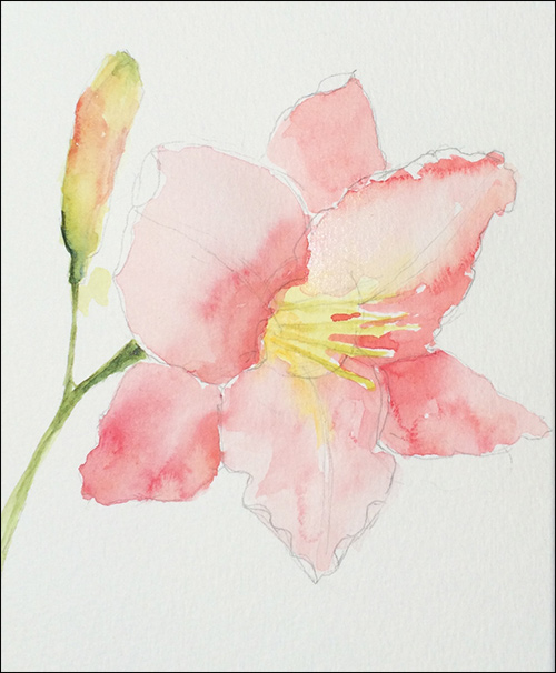 500x606 How To Paint Loose, Expressive Lilies In Watercolor