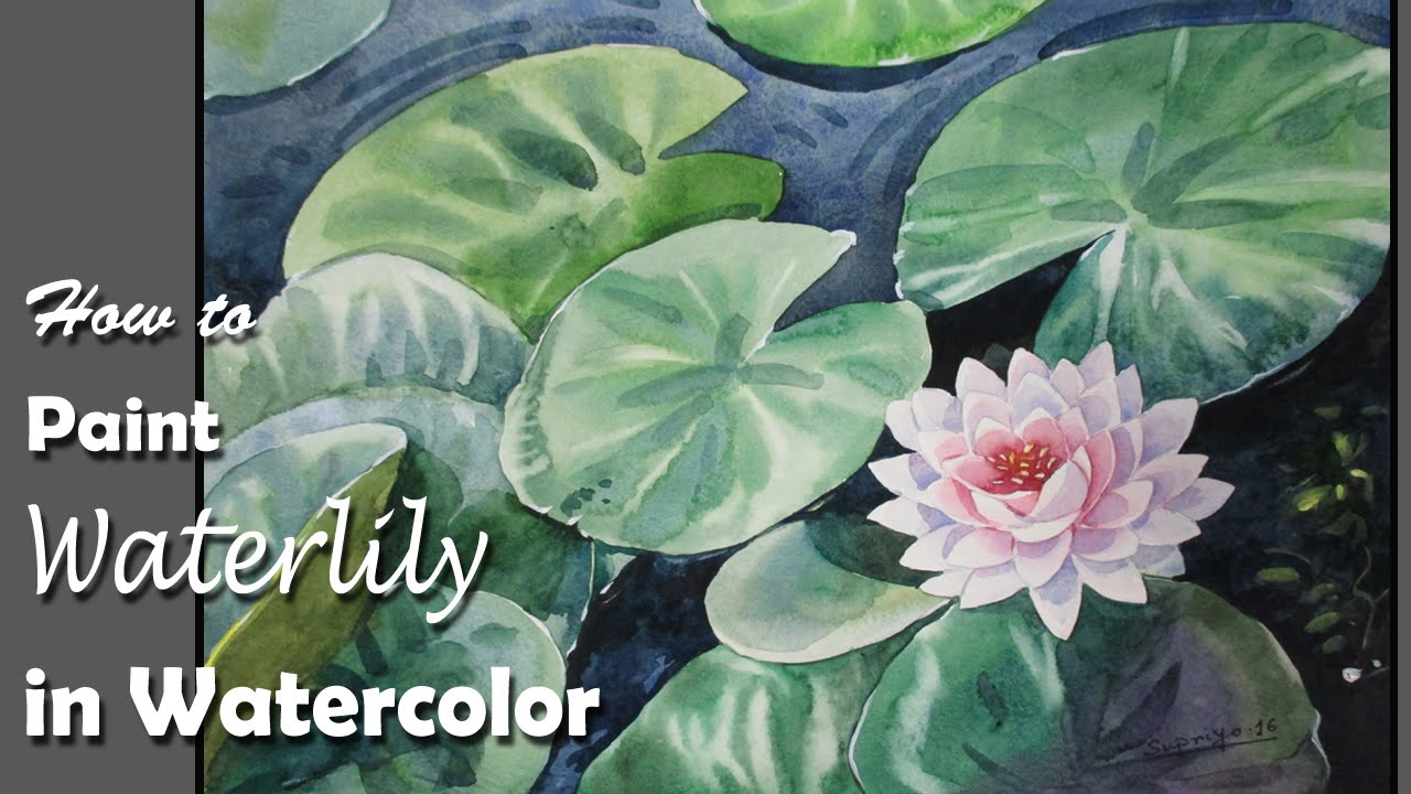1280x720 How To Paint Water Lily In Watercolor Step By Step
