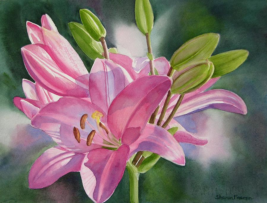 900x684 Pink Lily With Buds Painting By Sharon Freeman