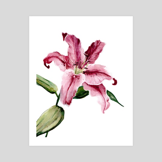 540x540 Stargazer Lily 1, An Art Print By Paulina Navarro