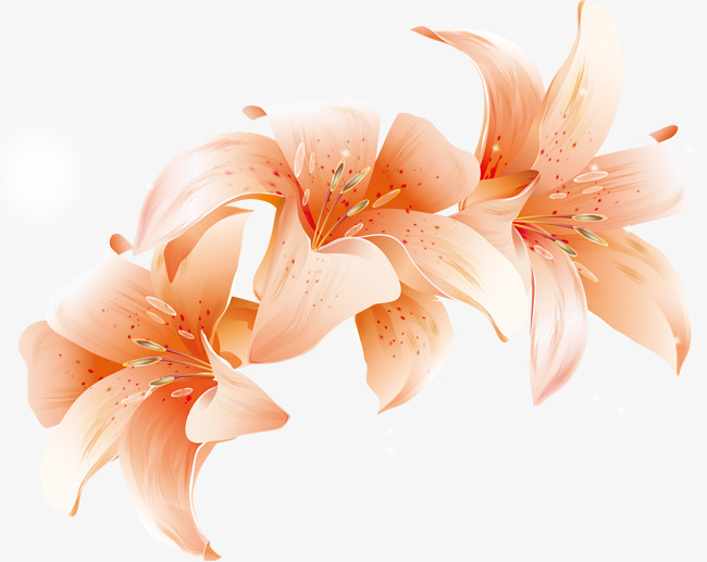 650x517 Watercolor Lily Vector, Watercolor Vector, Watercolor Painting