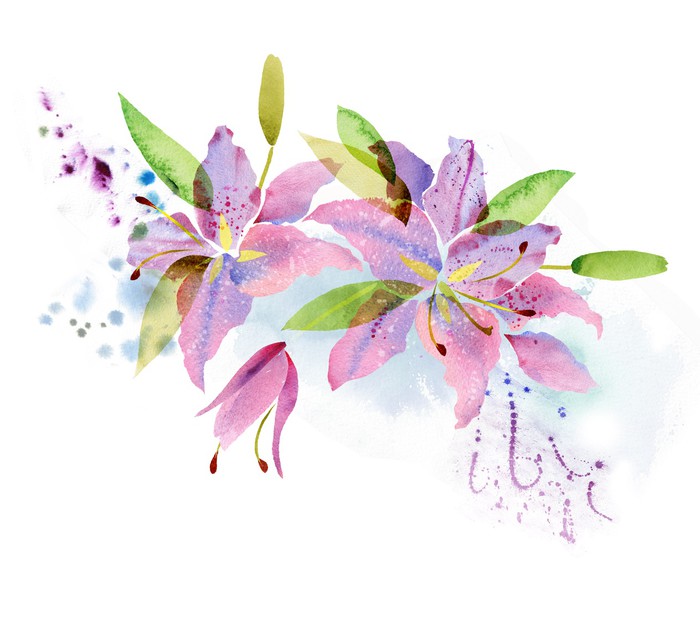 700x626 Watercolor Lily Wall Mural We Live To Change
