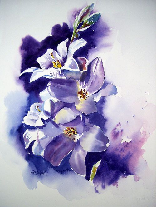 500x663 Easter Lilies Watercolor Flowers Watercolor