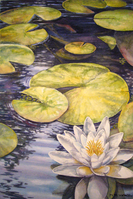 274x409 David Rockwell