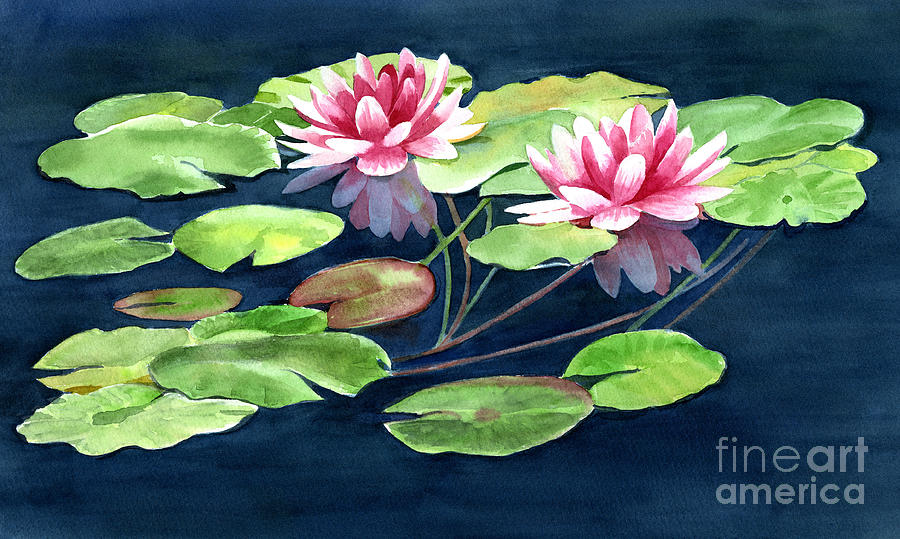 900x539 Two Water Lilies With Pads Painting By Sharon Freeman
