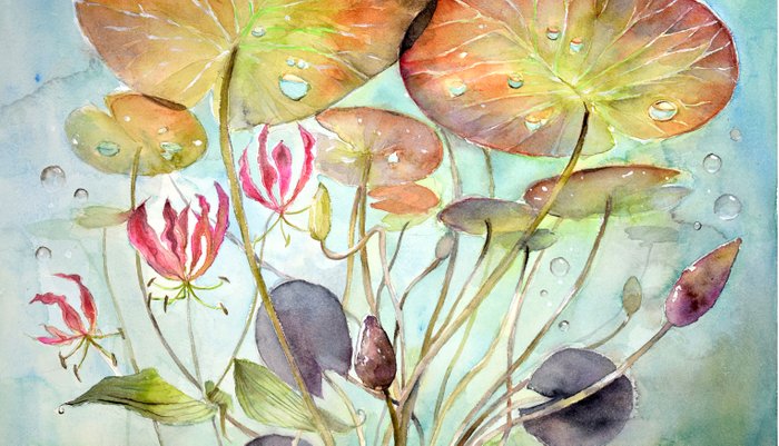 700x401 Waterlily Watercolor Lilypad Illustration Pond Surreal Art