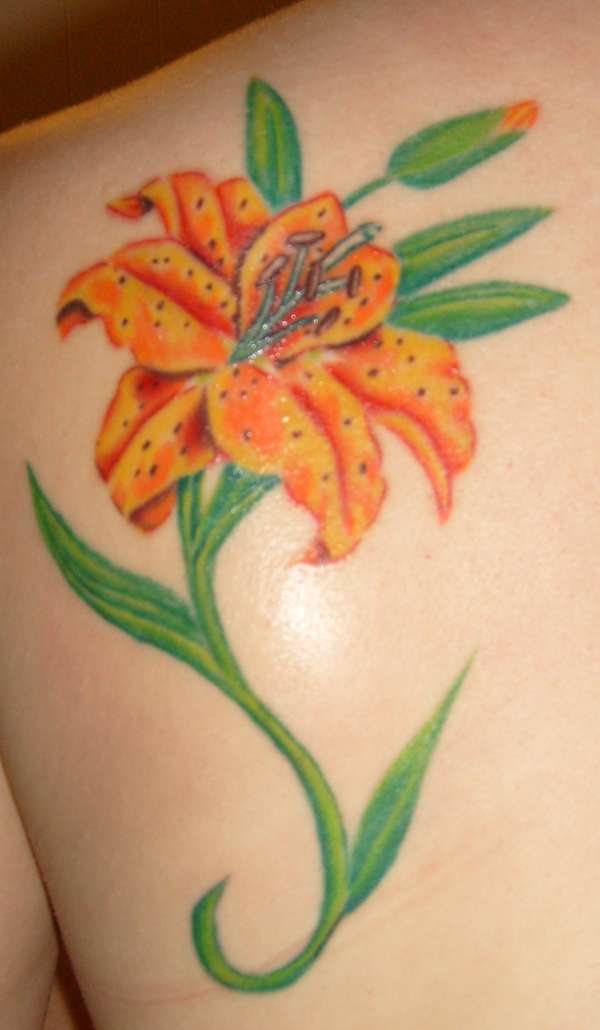 600x1030 60 Beautiful Lily Tattoo Ideas