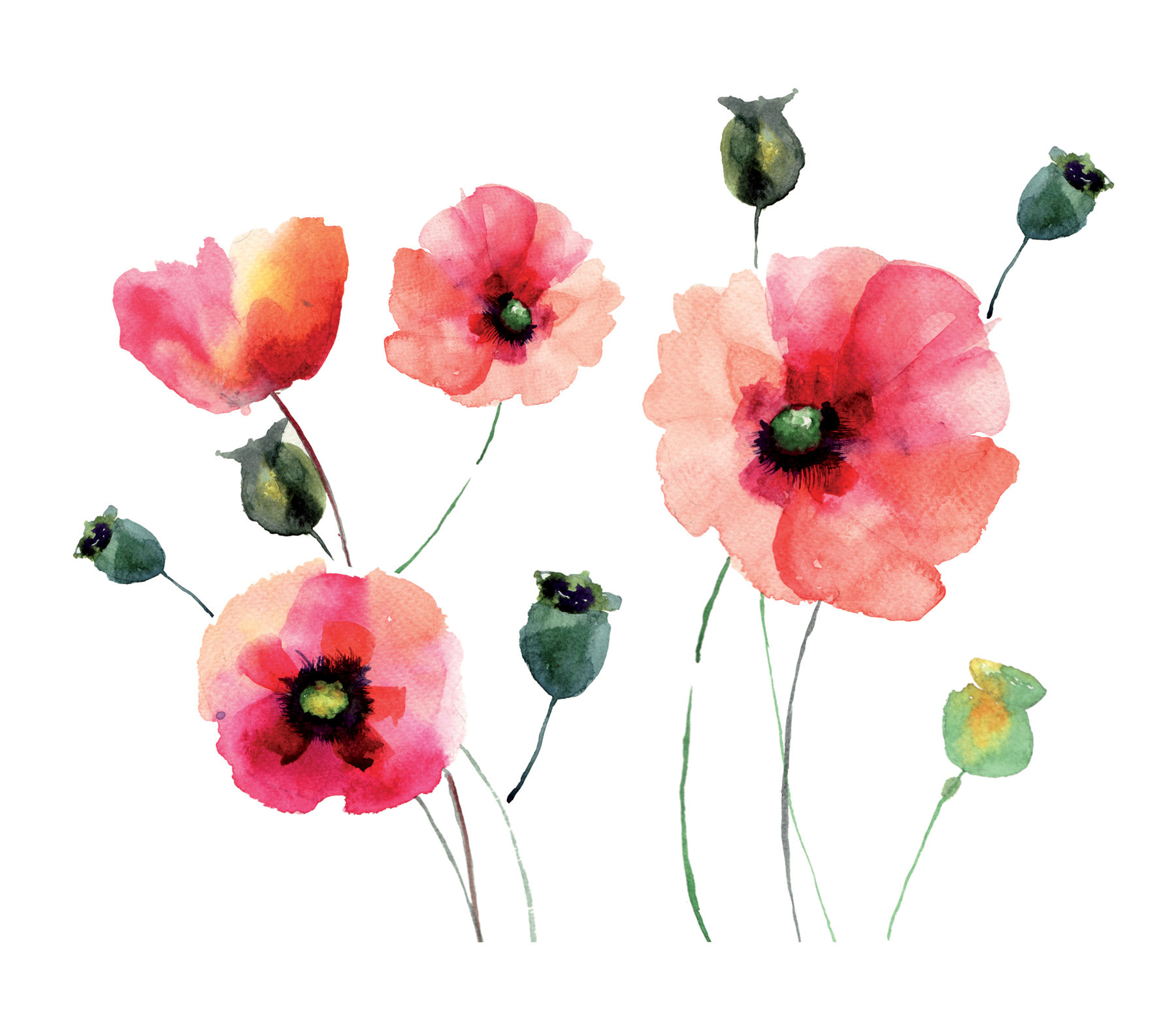 1800x1558 Wallpops! Home Decor Line Watercolor Poppies Wall Decal Amp Reviews