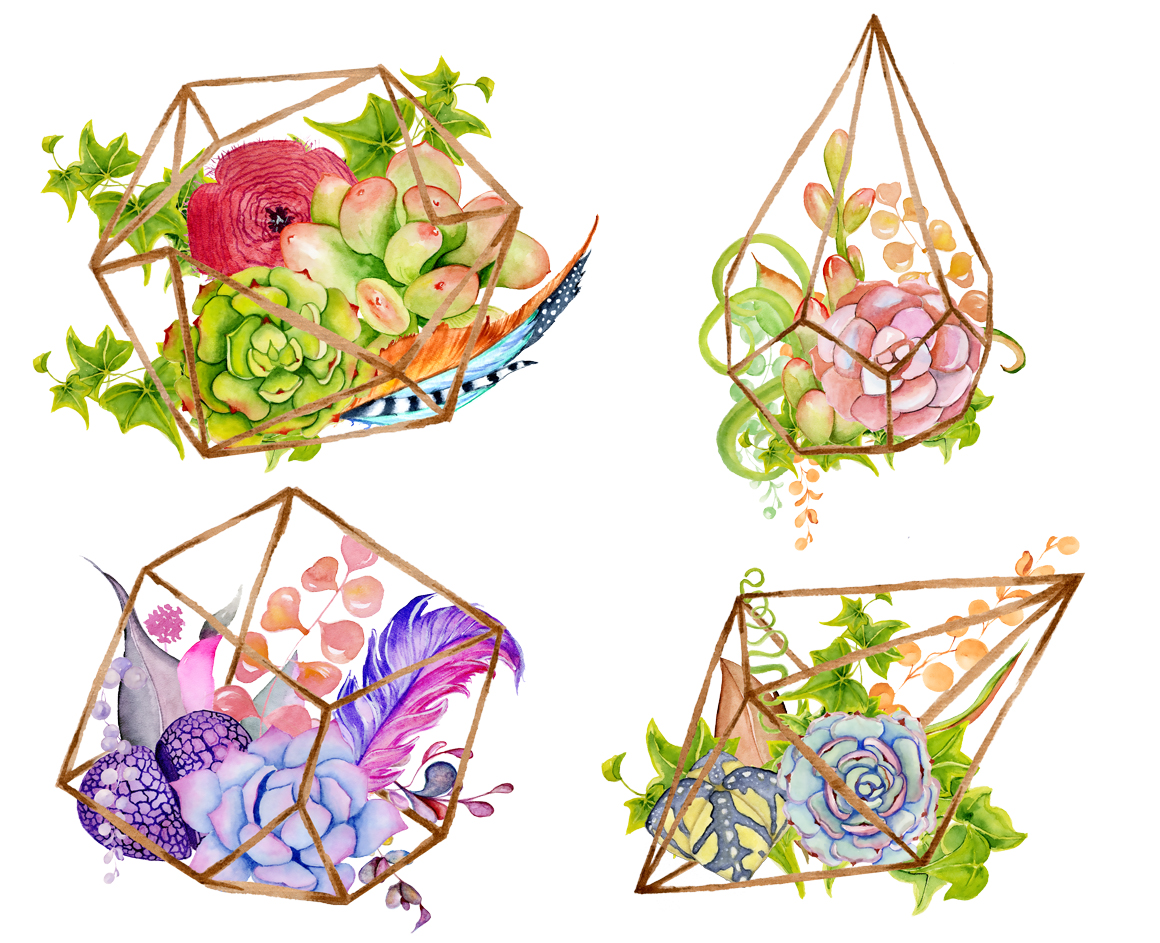 1160x943 Watercolor Succulents And Cactus Terrariums. Cactus Clipart. Hand