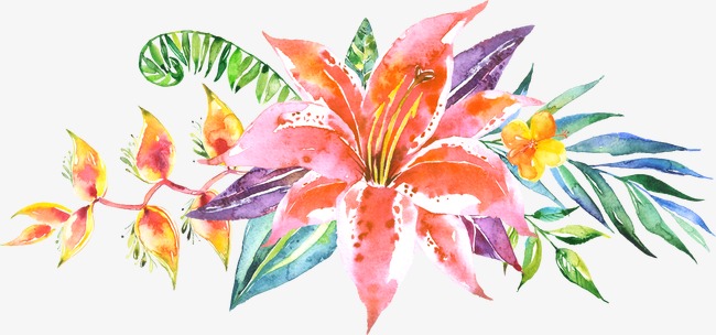 650x304 Ps Floral Material, Flowers Line Drawing, Watercolor Flowers