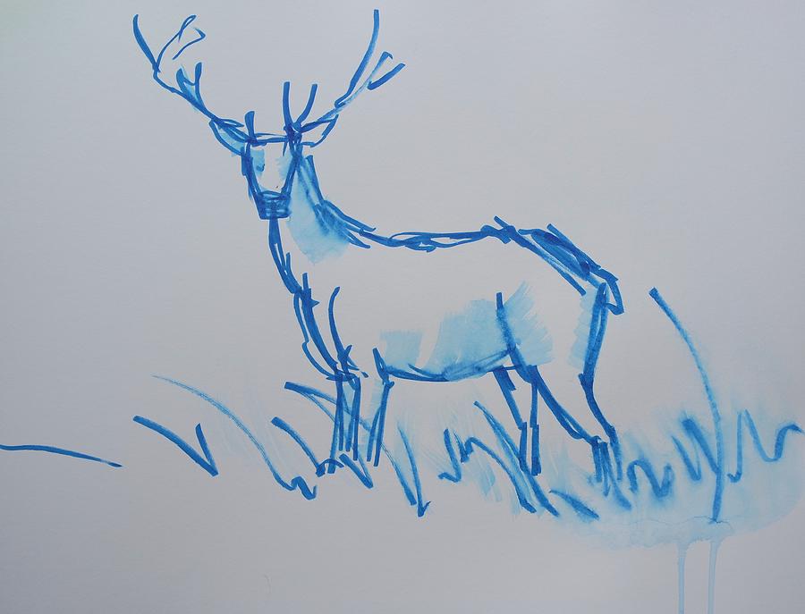 900x687 Blue Watercolor Brushed Line Drawing Of A Stag With Antlers