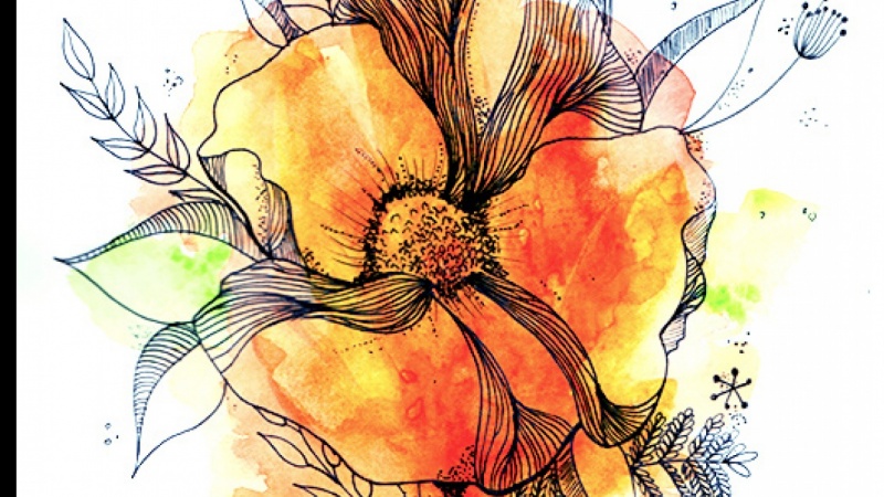 800x450 Botanical Line Drawing With Water Colour Skillshare Projects