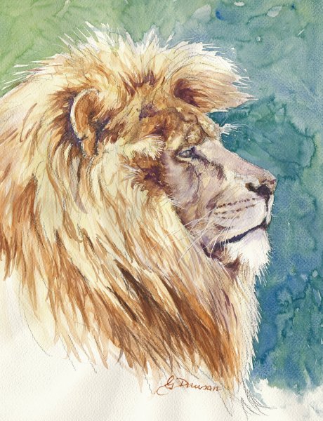 460x600 Lion Watercolor Painting.48
