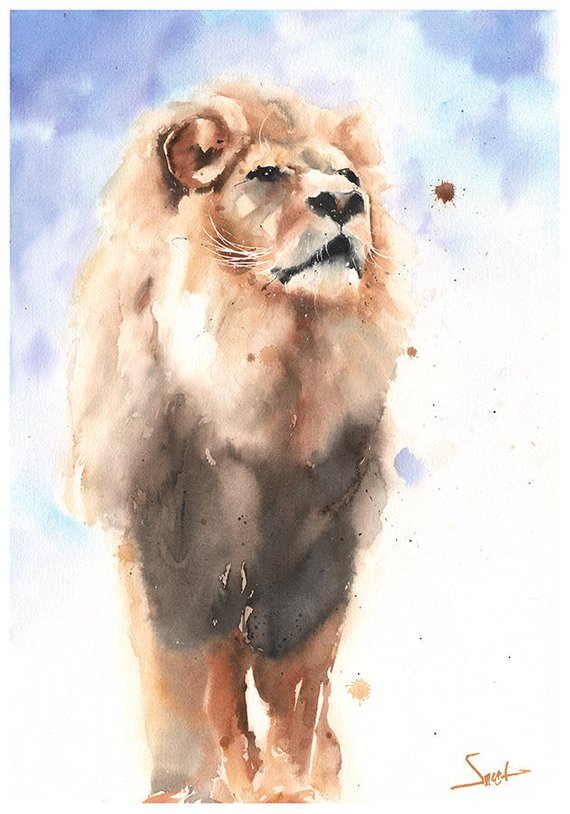 570x814 Lion Painting Original Watercolor Lion King Lion Original Etsy