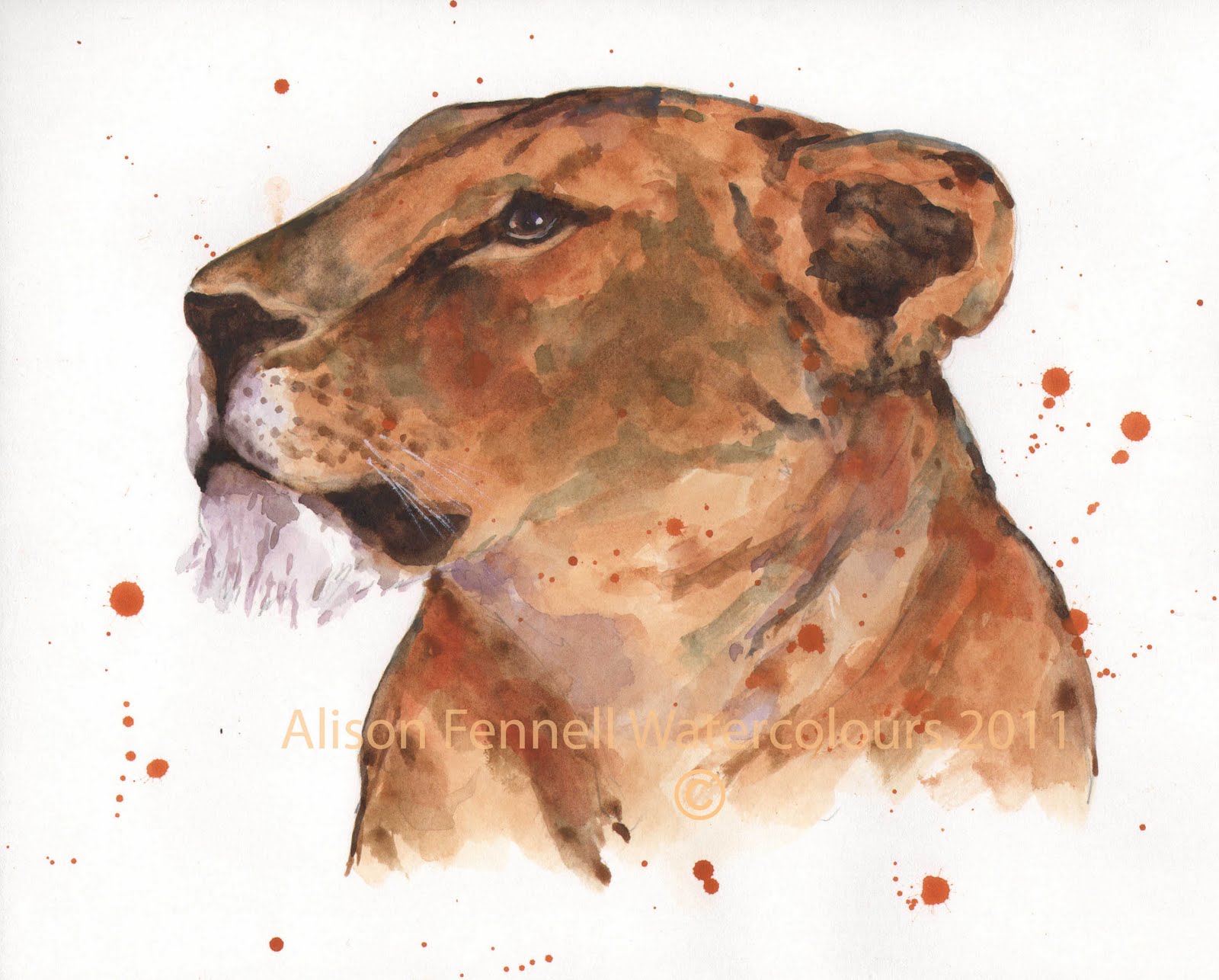 1600x1286 Totems What Animal Are You The Lioness Alison Fennell Art