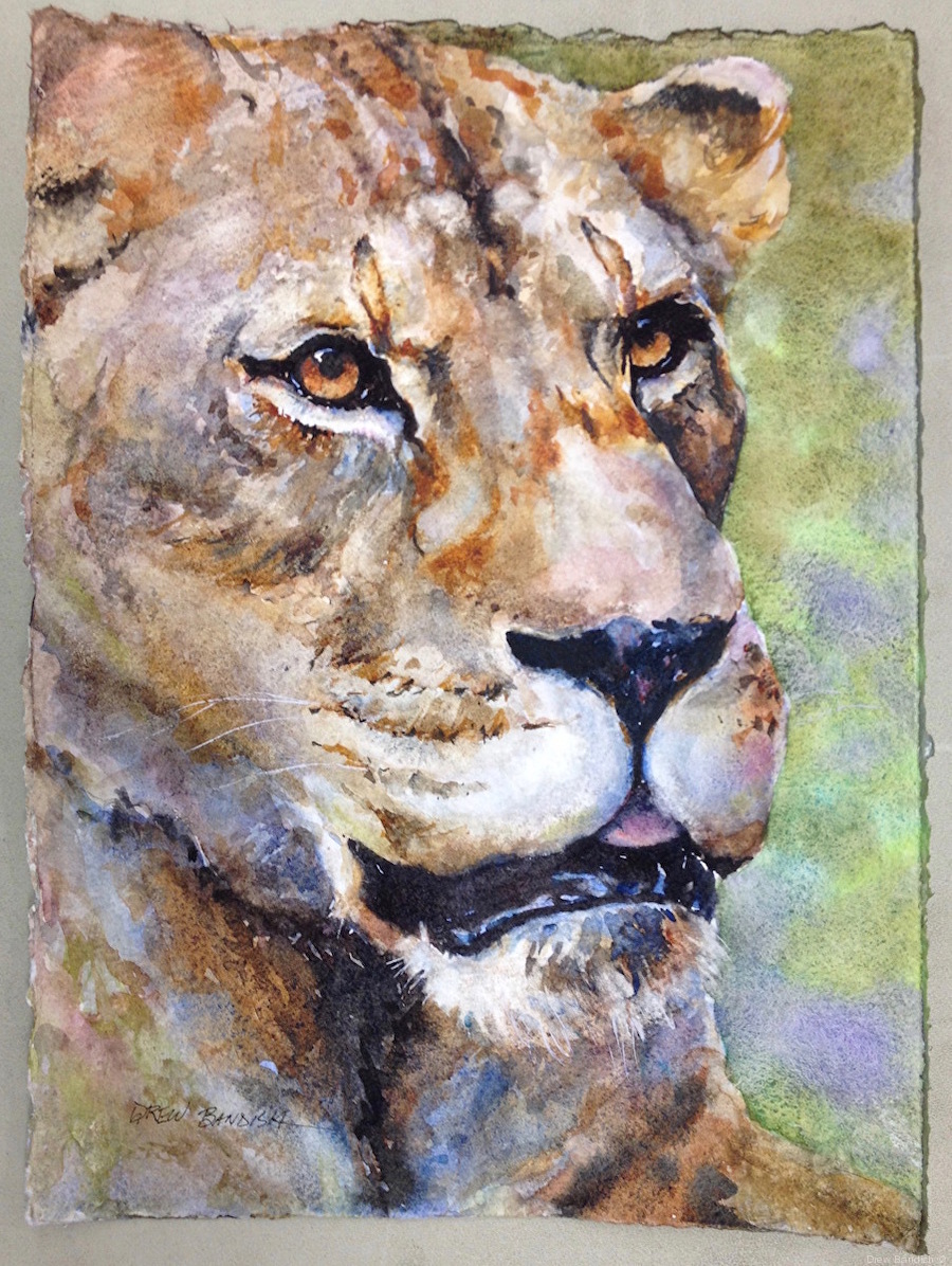 900x1196 Drew Bandish