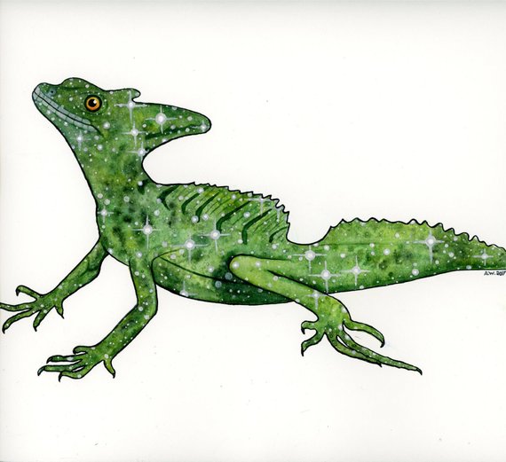 570x521 Galaxy Basilisk Lizard Original Watercolor Painting 9x9.5