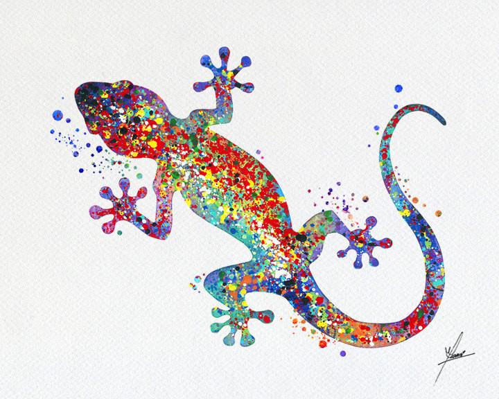 720x576 Gecko, Lizard Art Print Watercolor Illustrations Wall Art Poster