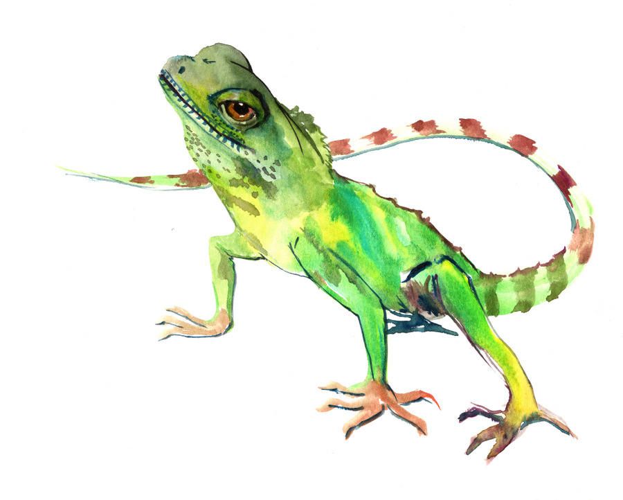 900x722 Lizard Painting, Original Watercolor Painting, 10 X 8 In, Green