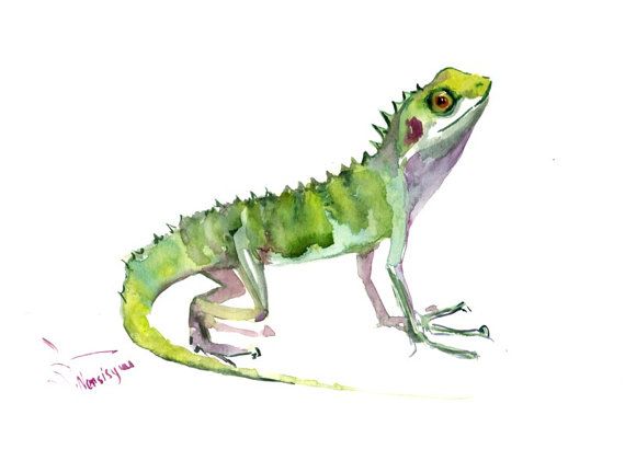 570x421 Lizard Painting, Original Watercolor Painting, 9 X 12 In, Green