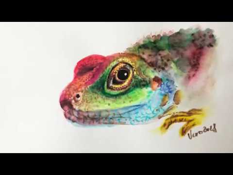 480x360 Painting A Lizard With Lizart Watercolor Brush Pens