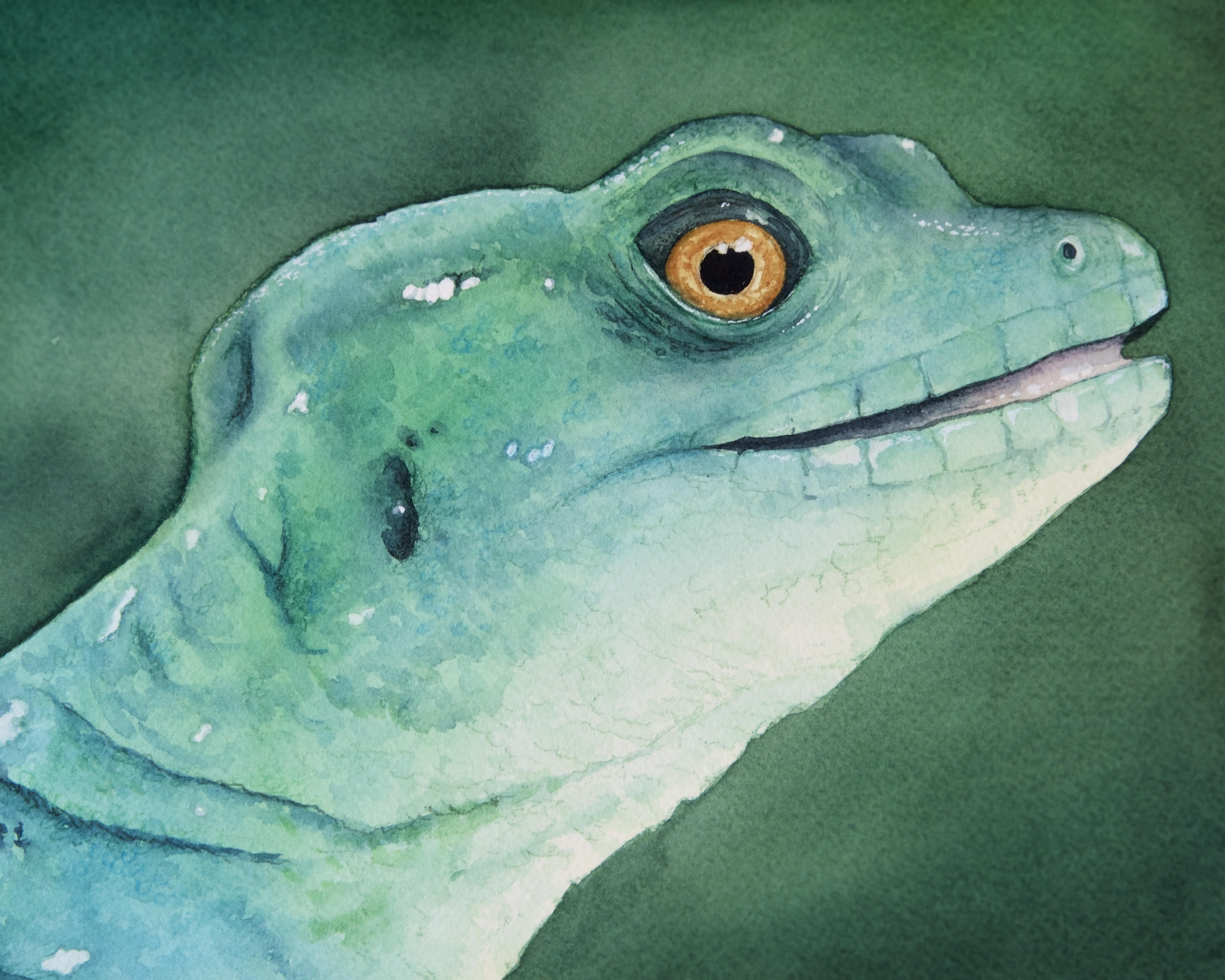 3000x2400 Retiring Last Chance Watercolor Lizard Basilisk Standard Etsy