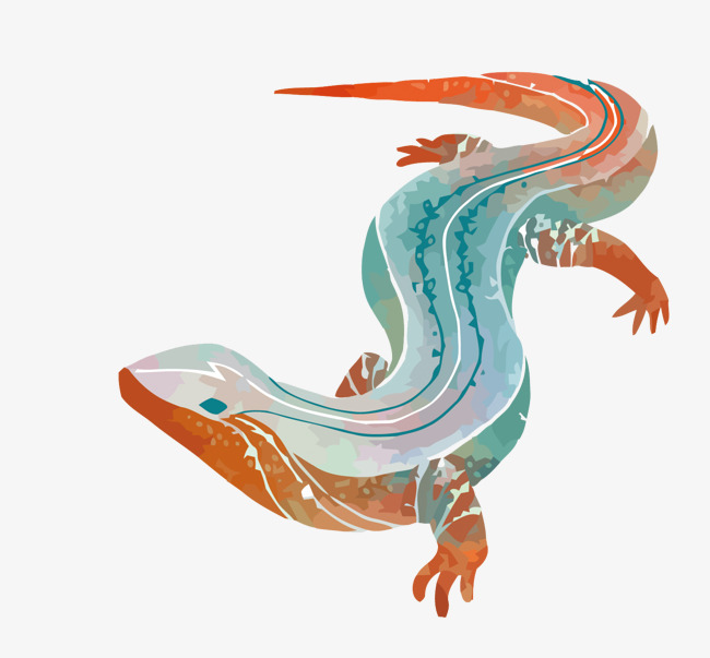 650x603 Vector Watercolor Lizard, Watercolor Vector, Lizard, Four Legged
