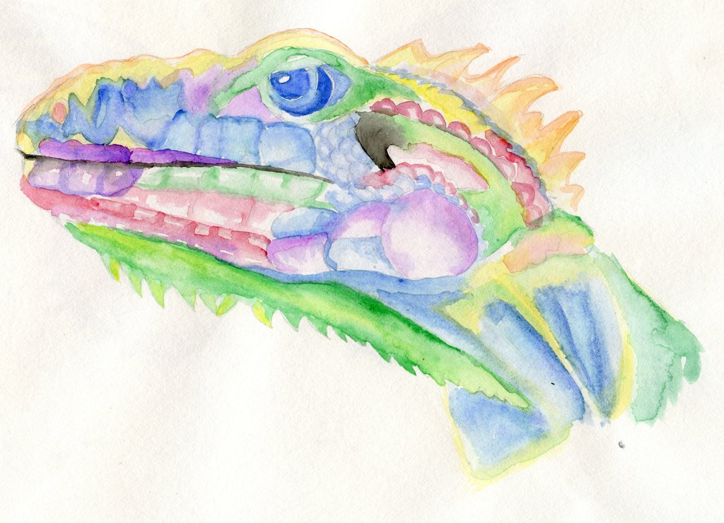 1024x740 Watercolor Lizard By Indianabatman