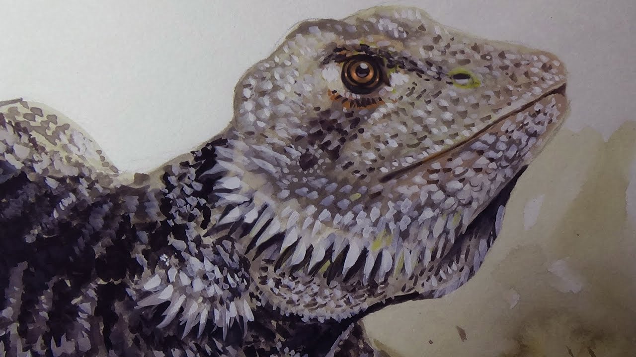 1280x720 Animal Painting