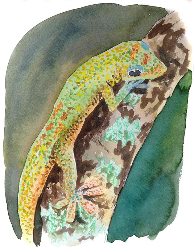 629x800 Dan Moynihan Watercolor Lizards